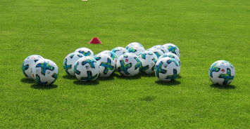 乐鱼体育网站入口-印度主帅称球队正处最佳状态，印度国家队球员名单